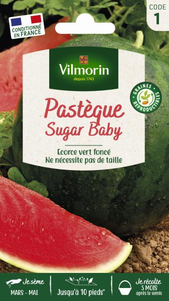 Potagères - Pastèque Sugar Baby - PACKAGING_RECTO